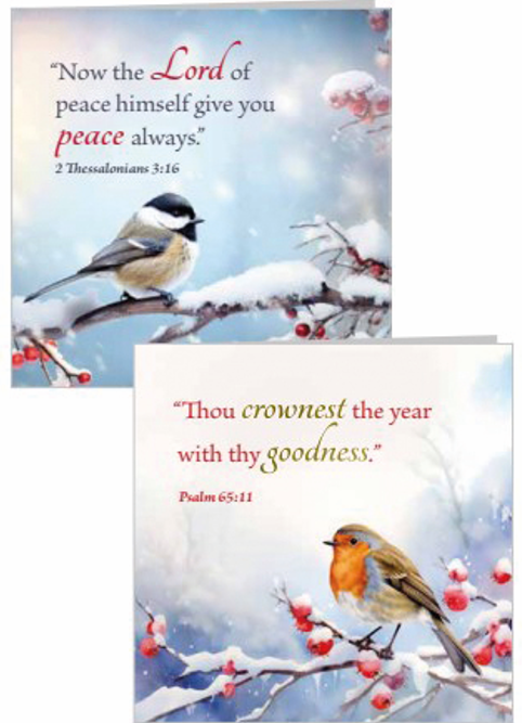 Christmas Boxed Cards: Winter Birds