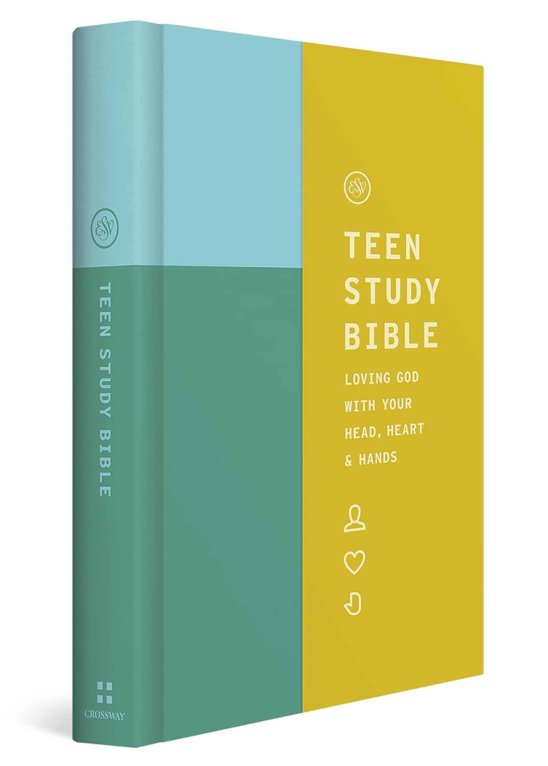 ESV Teen Study Bible (Wellspring)