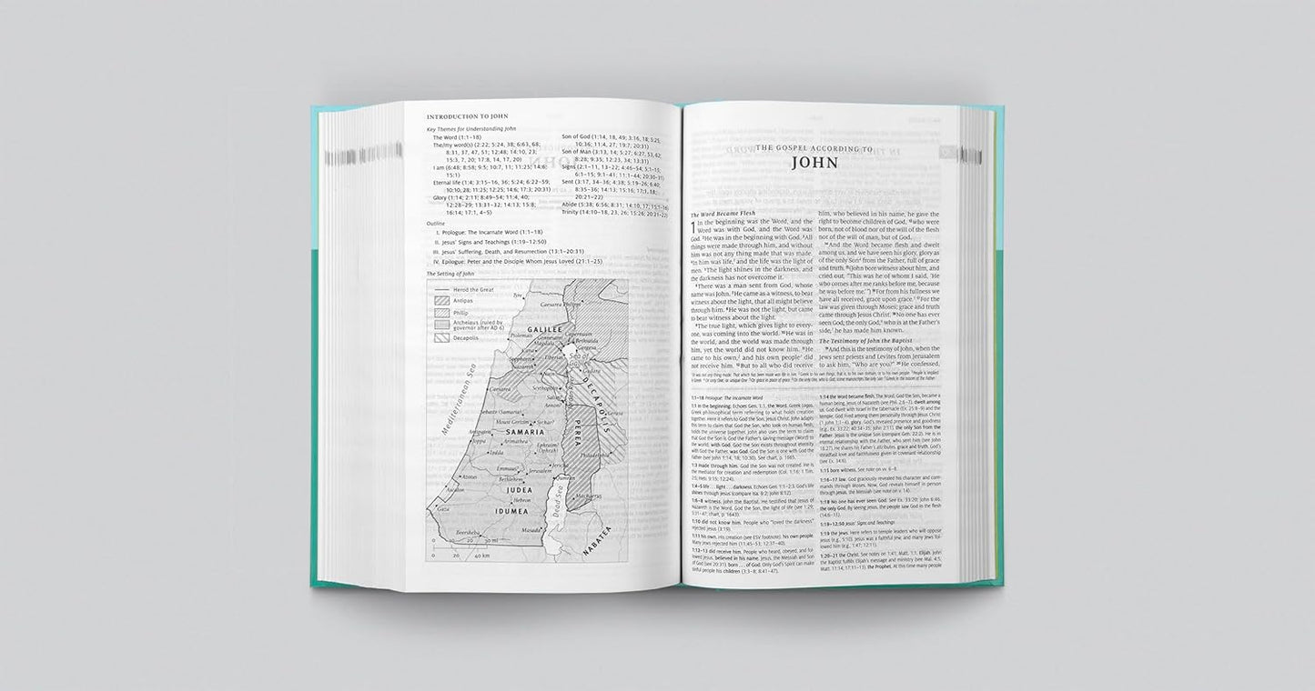 ESV Teen Study Bible (Wellspring)