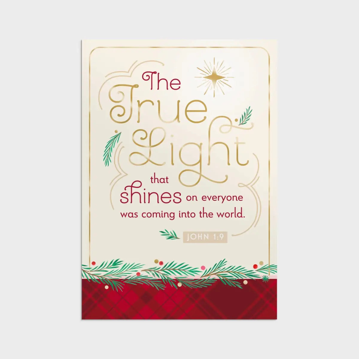 True Light - 18 Christmas Boxed Cards and Envelopes - Special Edition 5-Panel