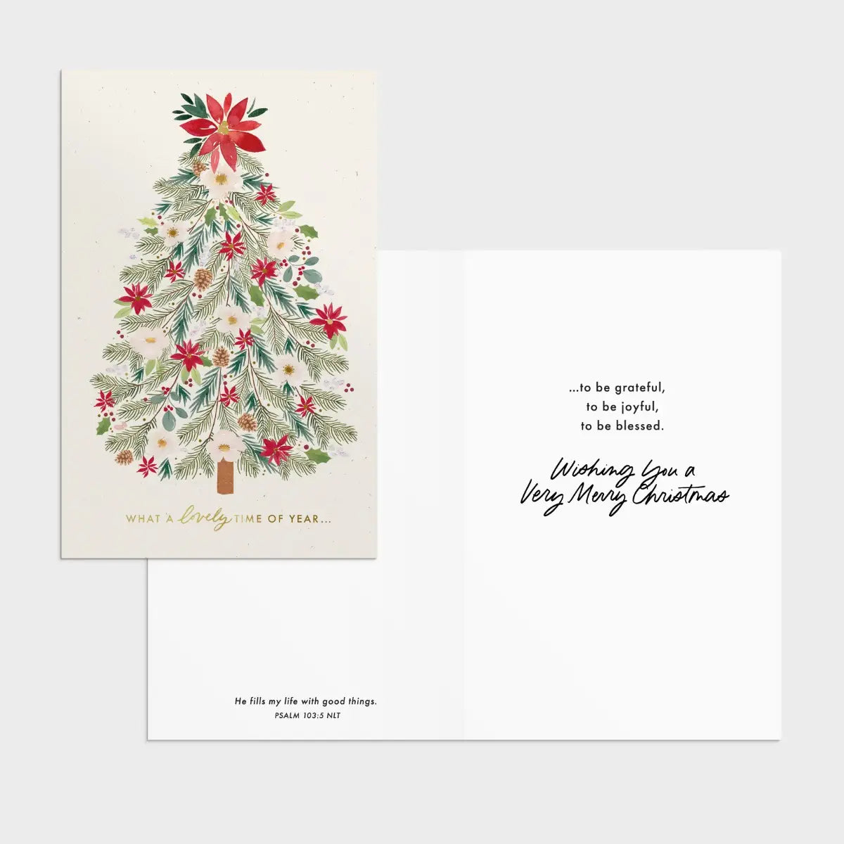 Be Merry + Blessed - 18 Assorted Christmas Boxed Cards and Envelopes