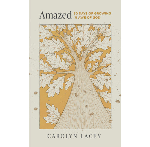 Amazed book cover